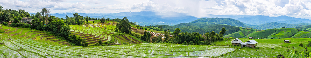 A panorama view of local houses and Rice terrace in a cloudy lig